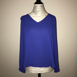 LUSH LIGHT BLUE LONG SLEEVE TOP